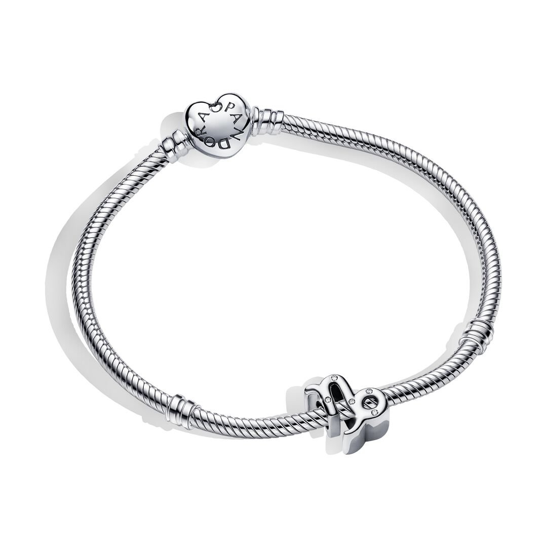 Capricorn Zodiac Charm Bracelet Set