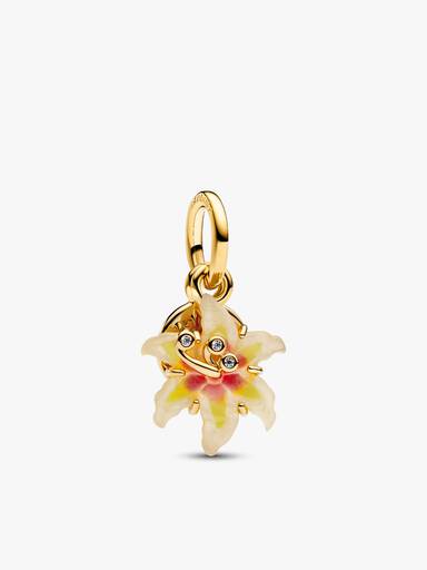 Disney Tangled Charm Duo