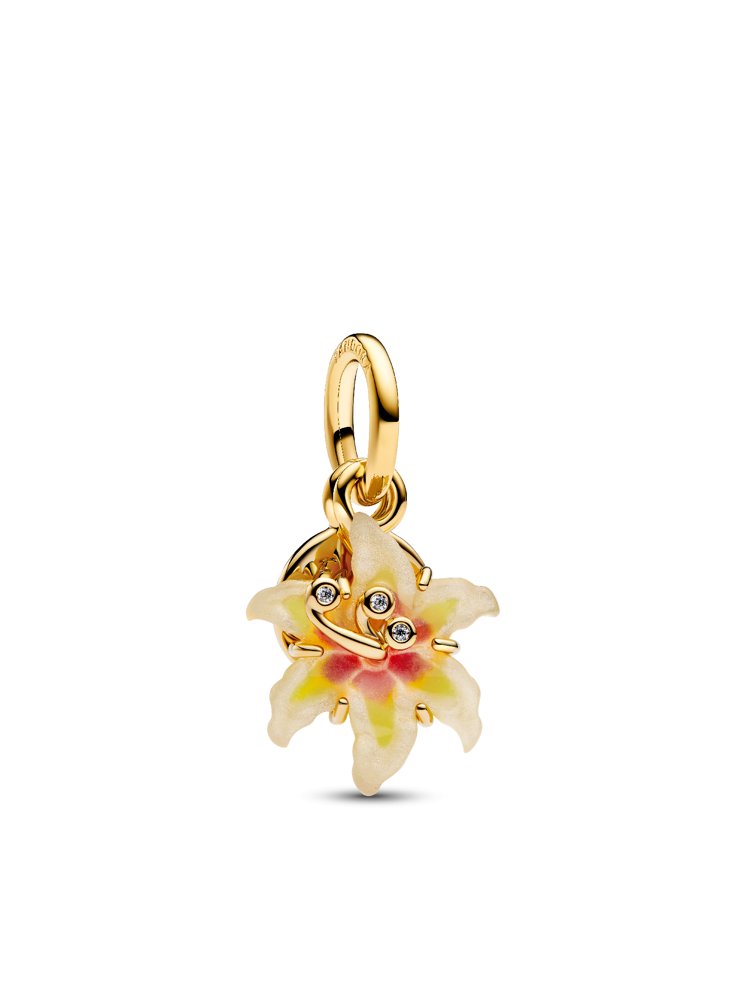 Disney Tangled Charm Duo
