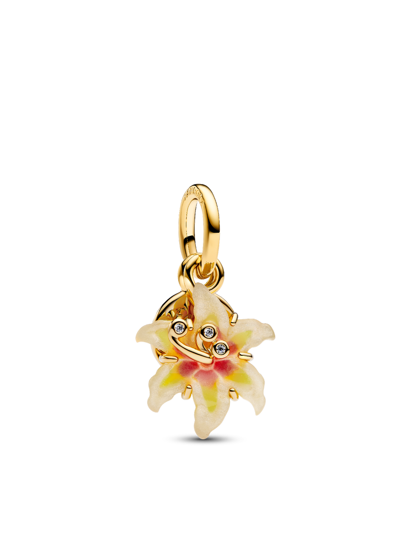 Disney Tangled Charm Duo