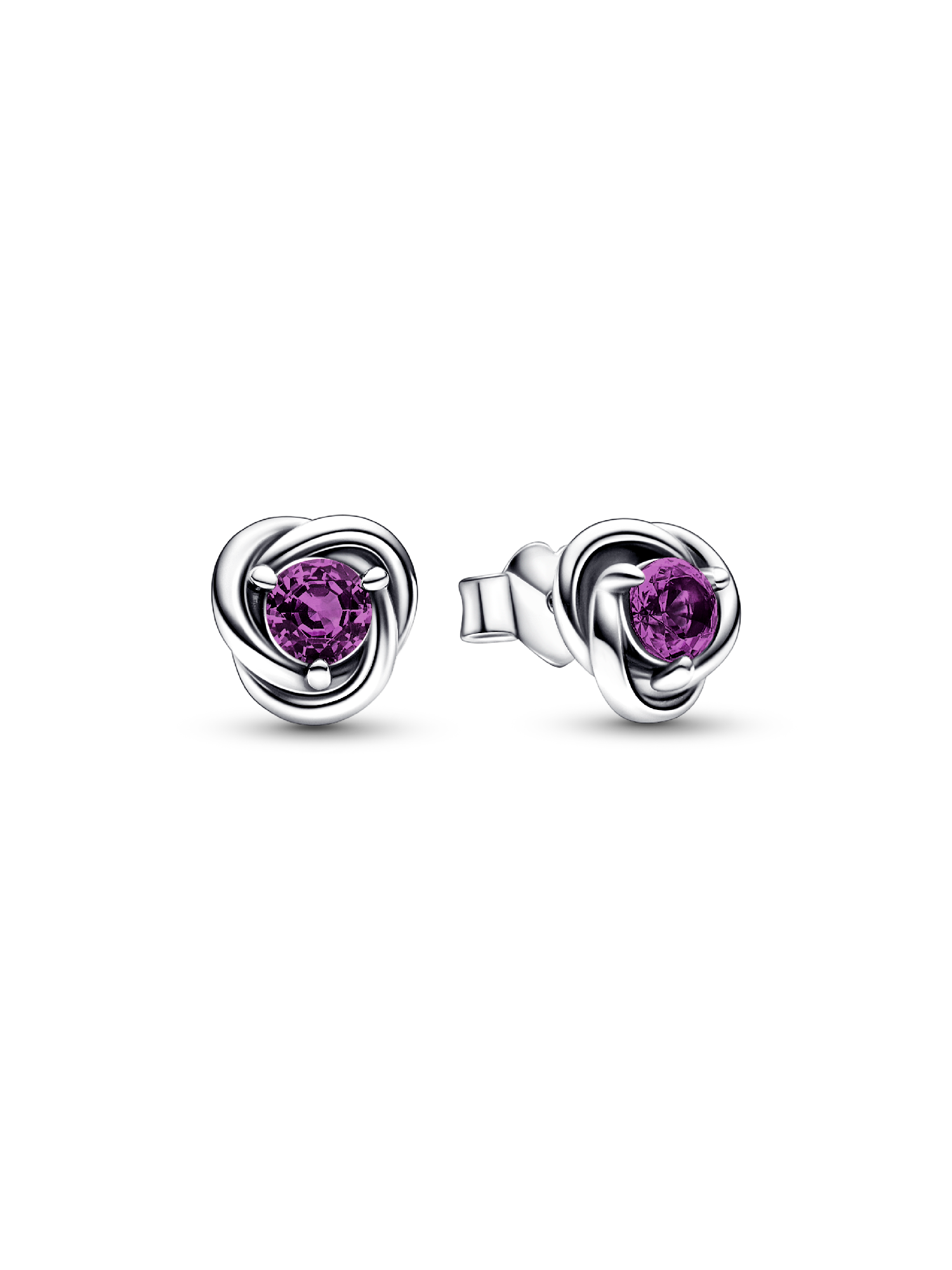 February Purple Eternity Circle Stud Earrings