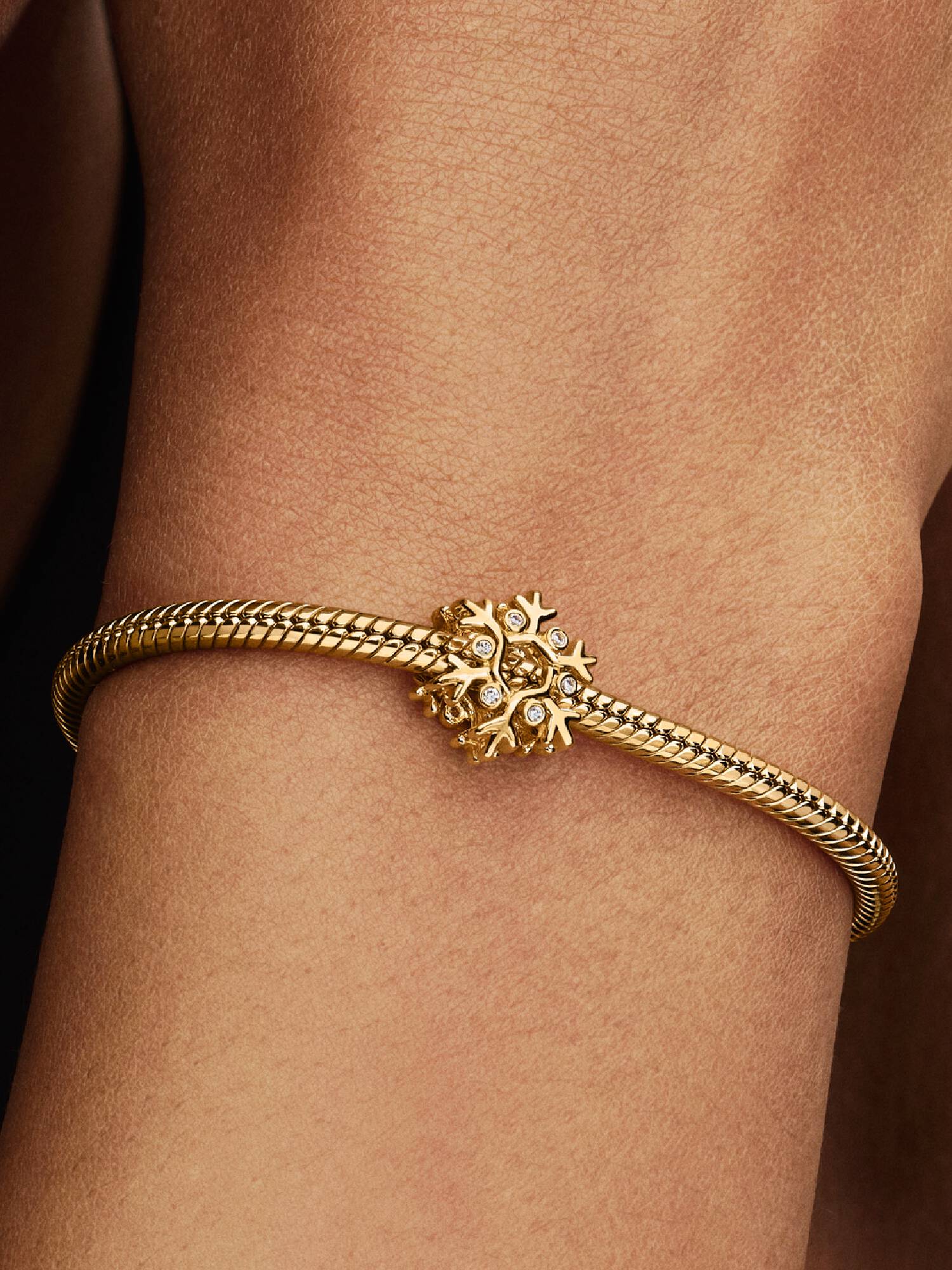 Snowflake Charm