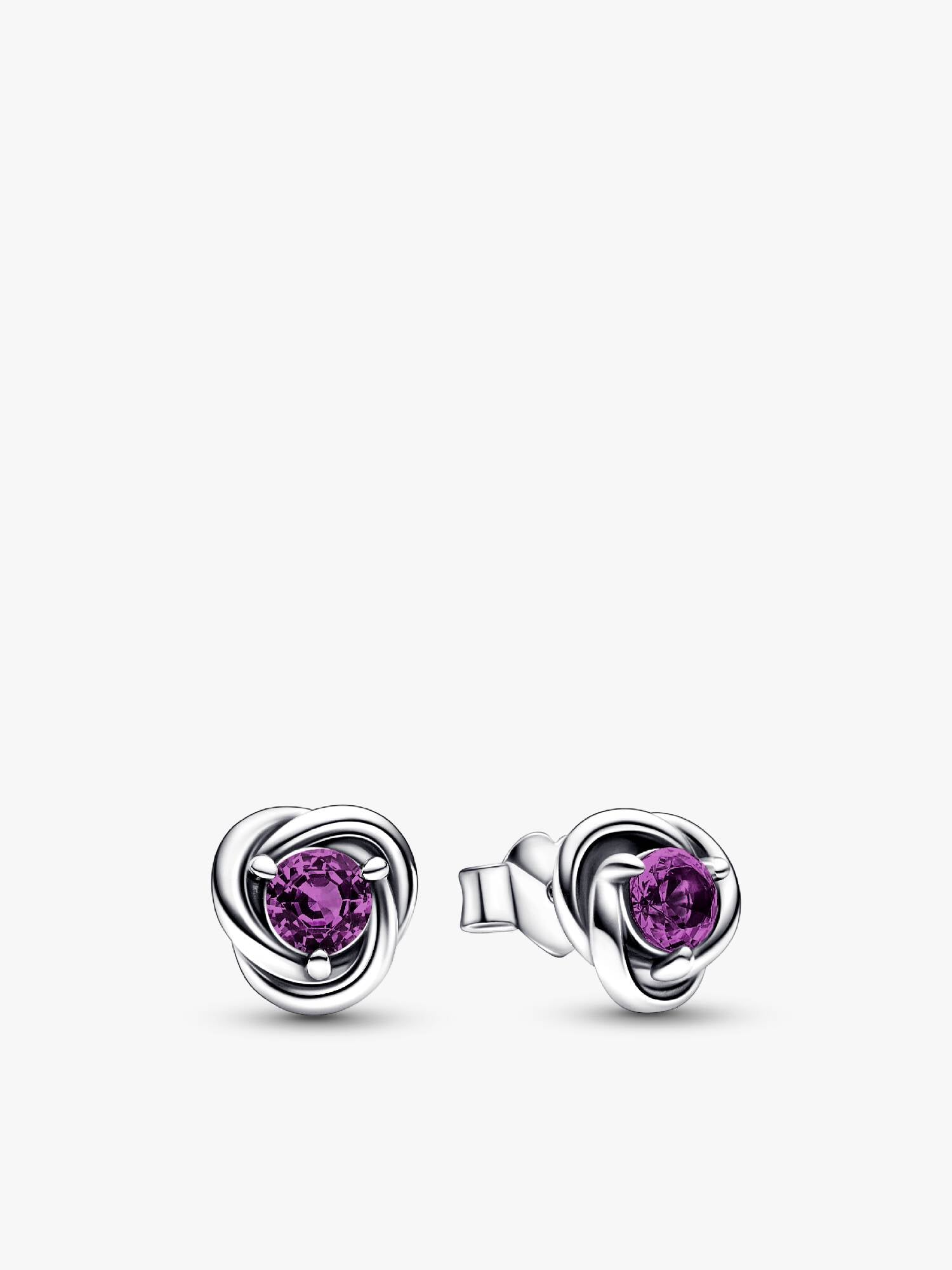 February Purple Eternity Circle Stud Earrings