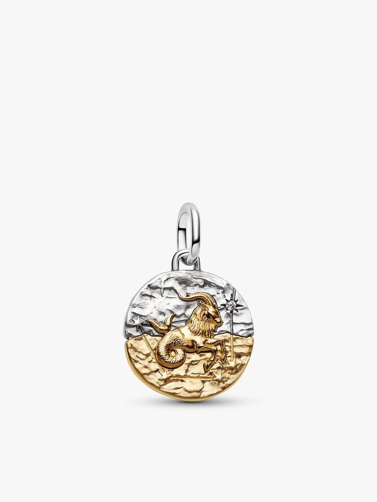 Capricorn Medallion Charm Necklace Set