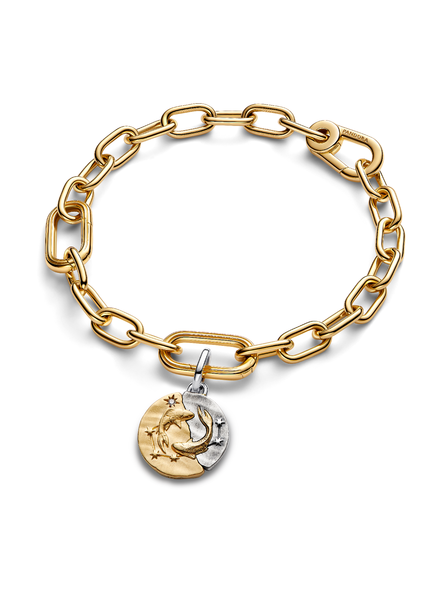 Pisces Zodiac Medallion Charm