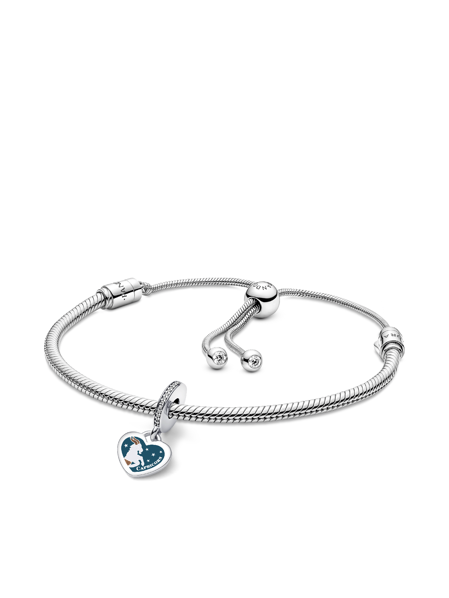 Capricorn Dangle Charm Bracelet Set