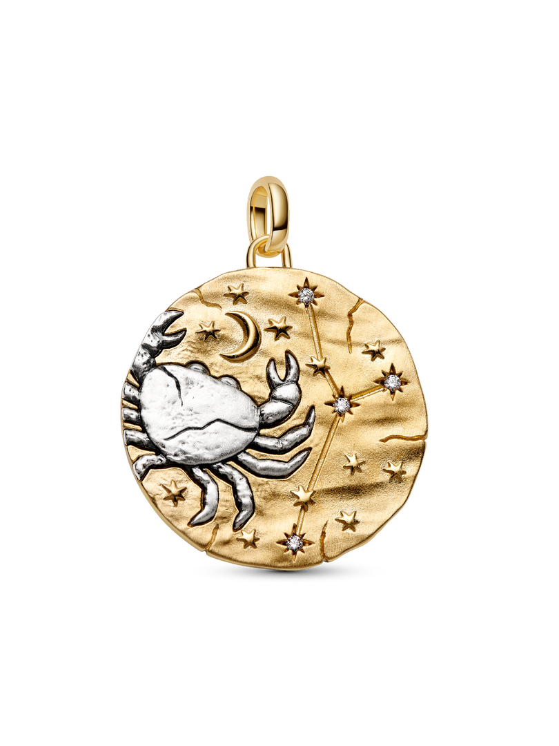 Cancer Zodiac Oversized Medallion Charm