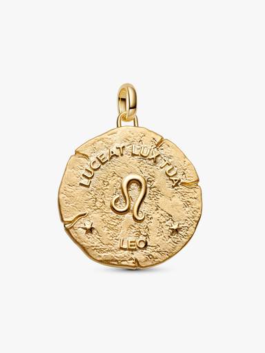Leo Zodiac Oversized Medallion Charm