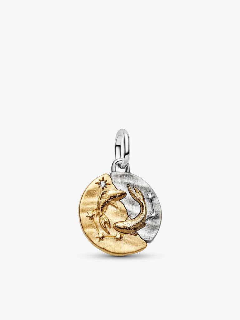 Pisces Medallion Charm Necklace Set