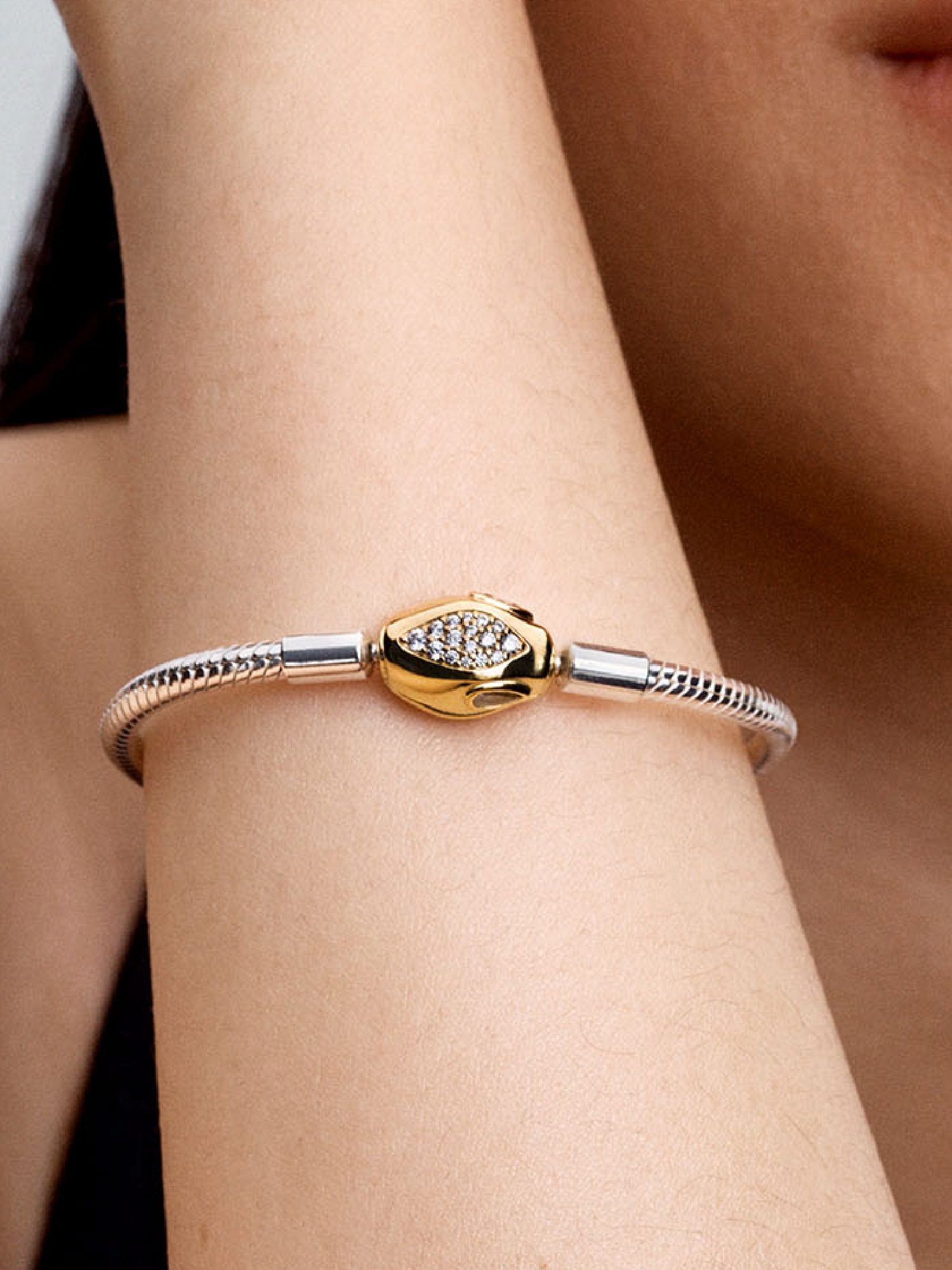Snake Clasp & Chain Bracelet | Two-tone | Pandora US