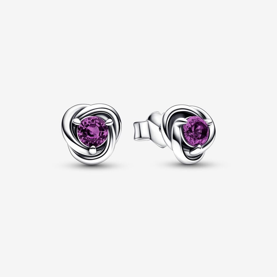 February Purple Eternity Circle Stud Earrings image number 0