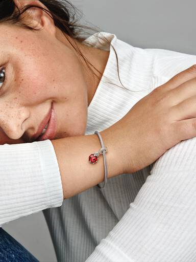 Red Ladybird Dangle Charm