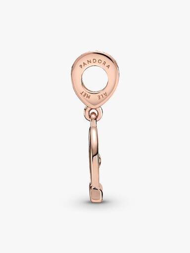 Disney Parks Believe the Impossible Dangle Charm