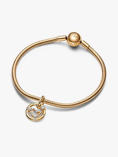 Capricorn Zodiac Dangle Charm