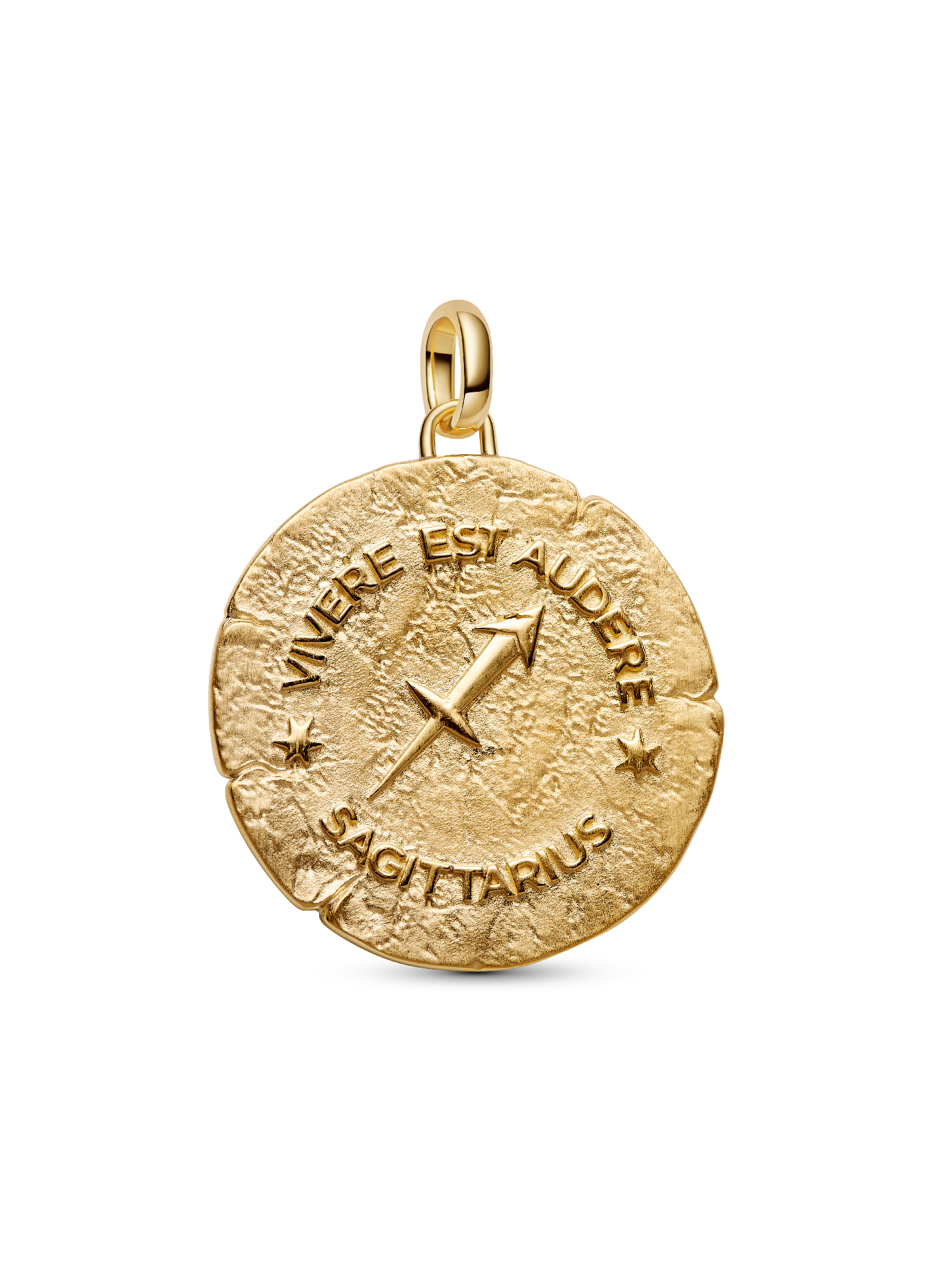 Sagittarius Zodiac Oversized Medallion Charm
