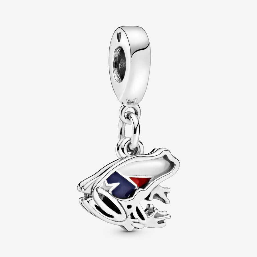 Puerto Rico Frog Dangle Charm image number 0