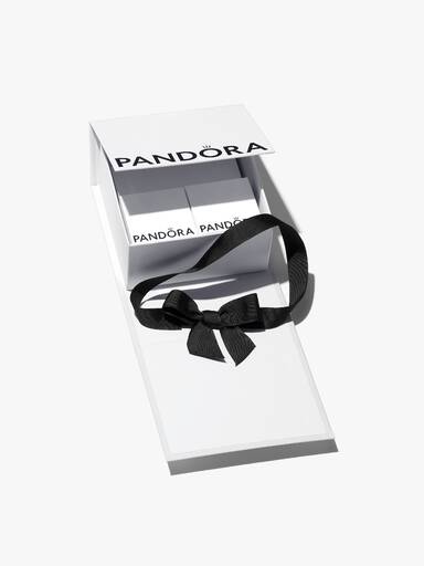 White Premium Gift Packaging