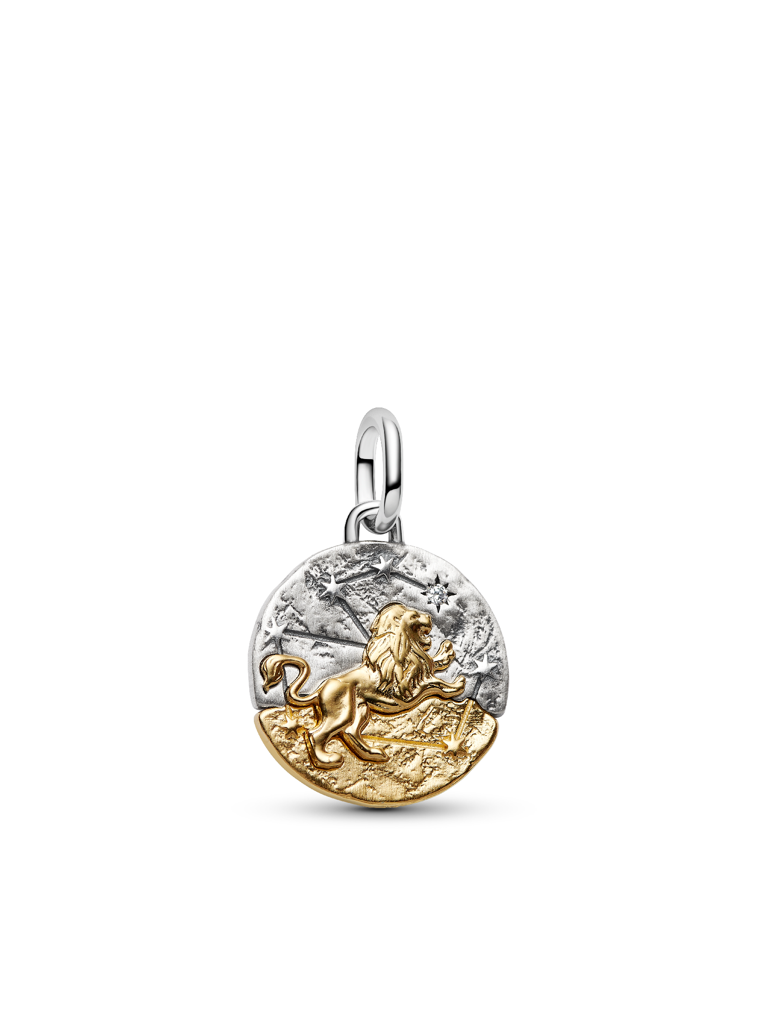 Leo Medallion  Charm Necklace Set