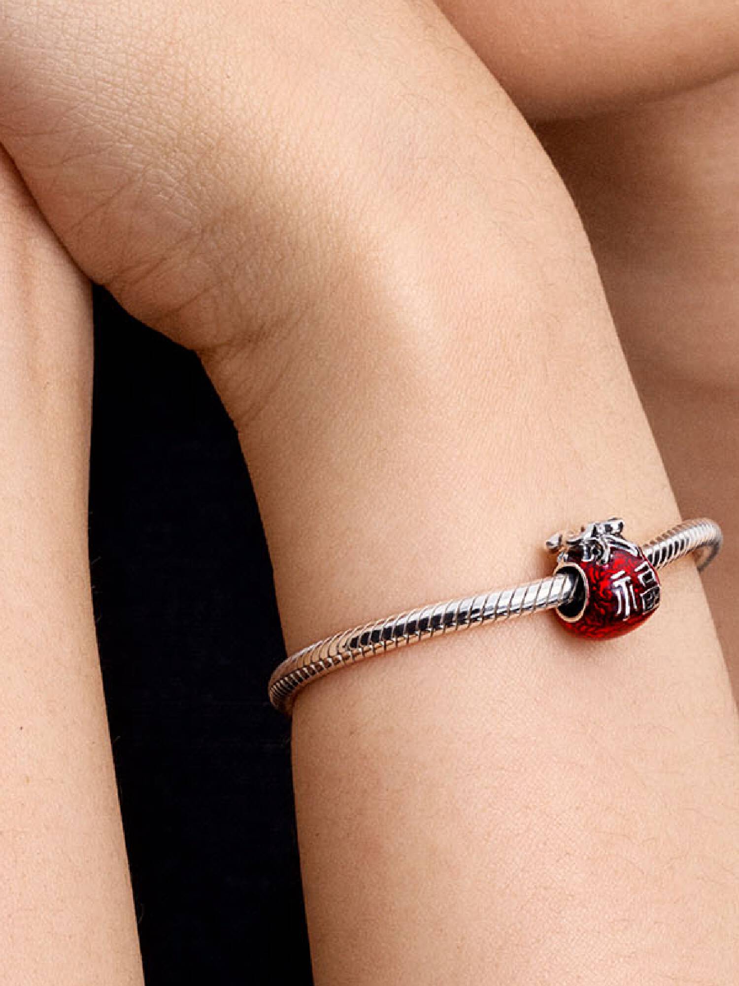 Lucky Bag Charm