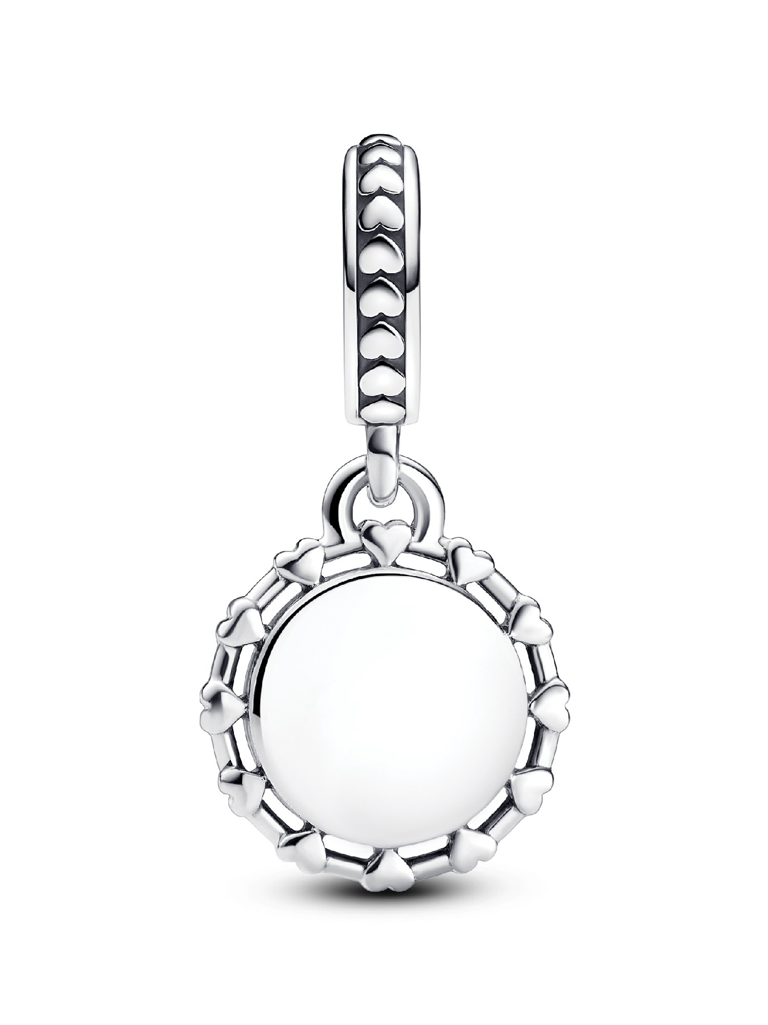 Veterinarian Dangle Charm