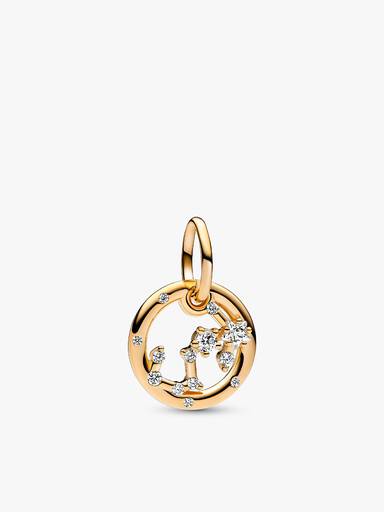 Scorpio Zodiac Dangle Charm Bracelet Set