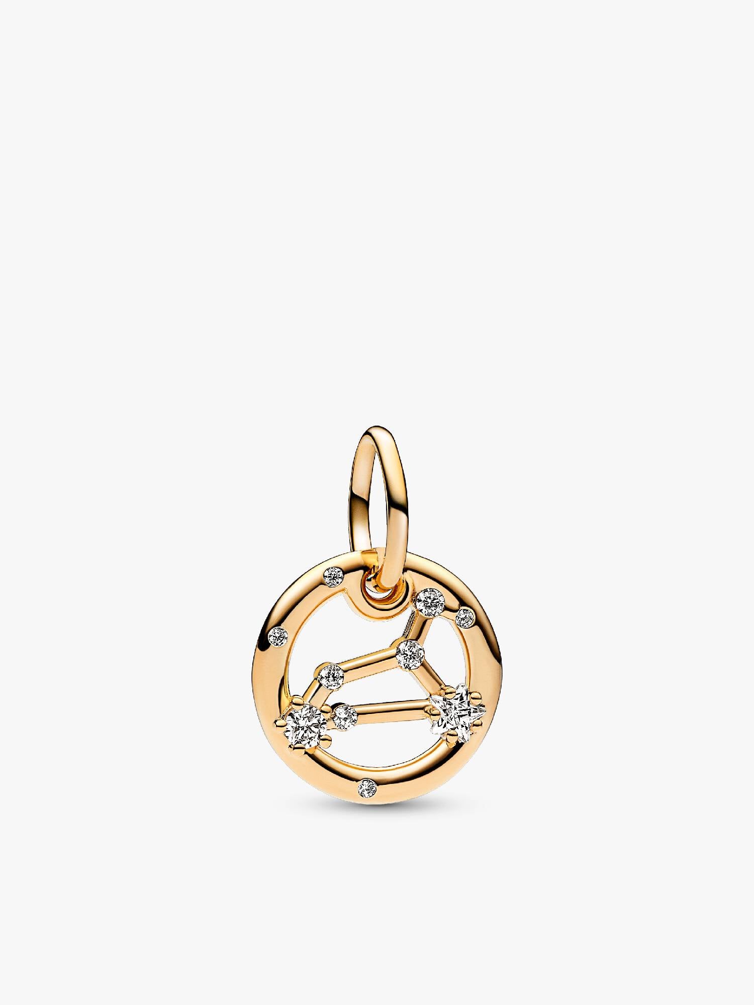 Leo Zodiac Dangle Charm