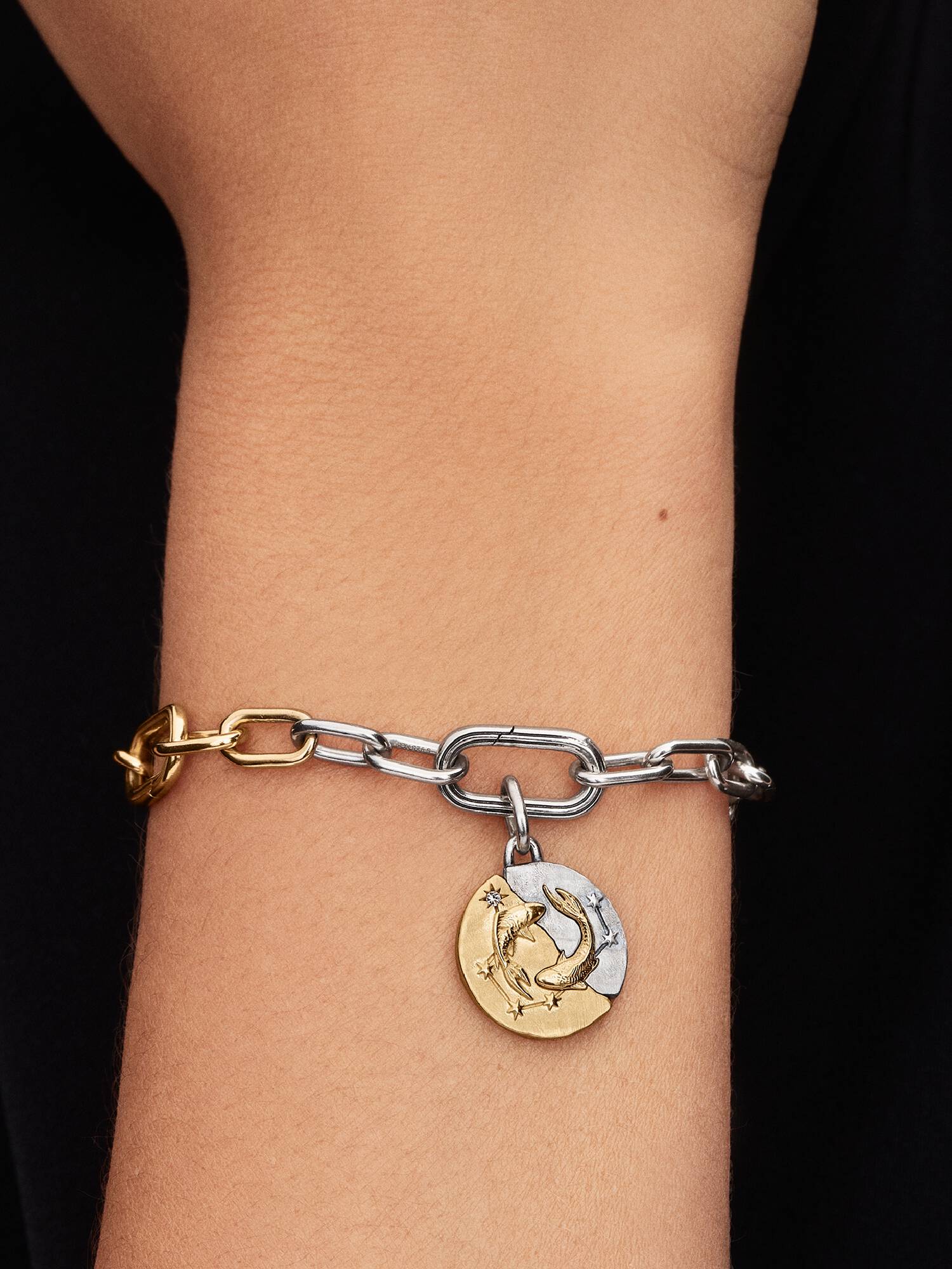 Pisces Zodiac Medallion Charm