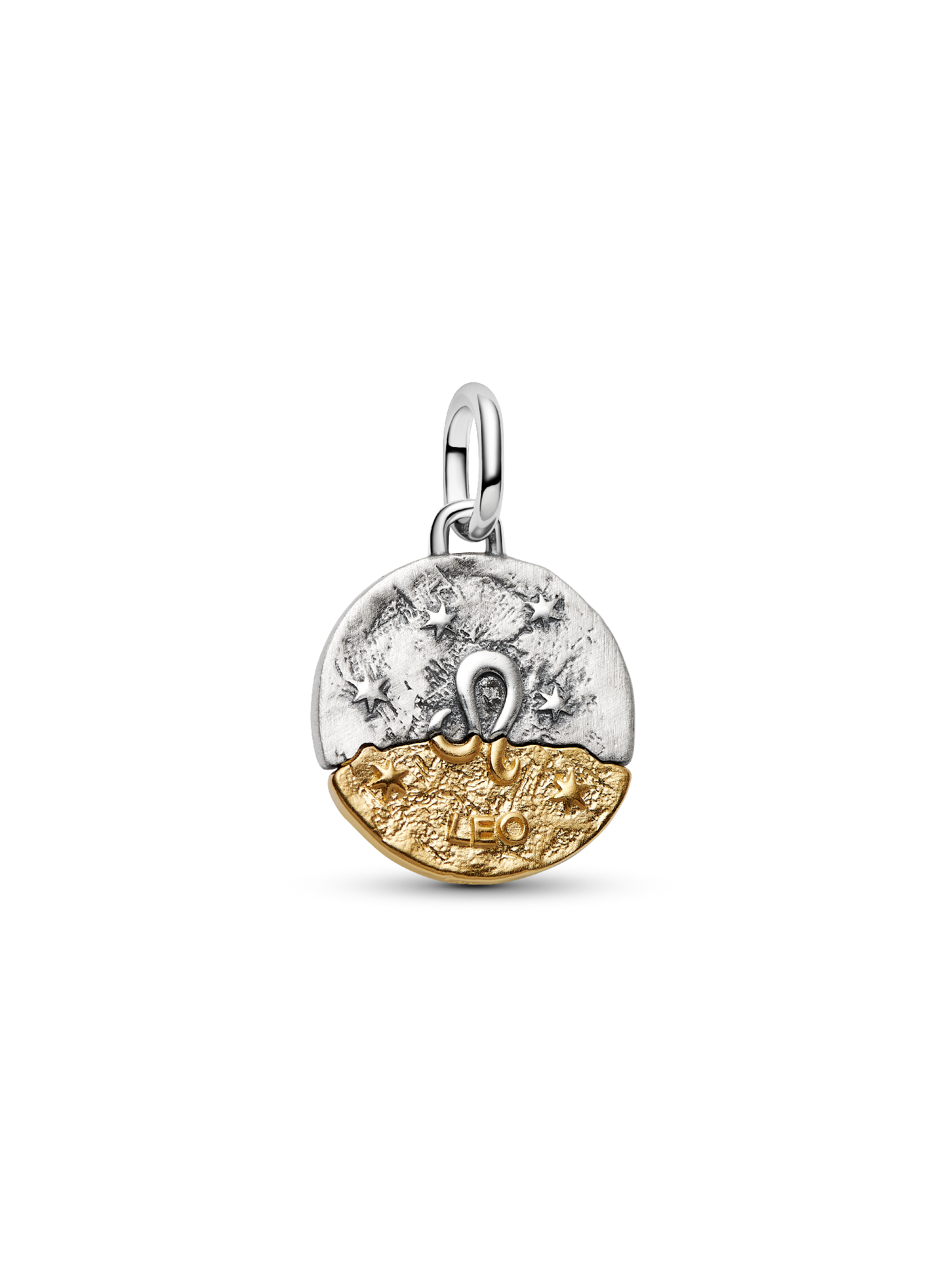 Leo Zodiac Medallion Charm
