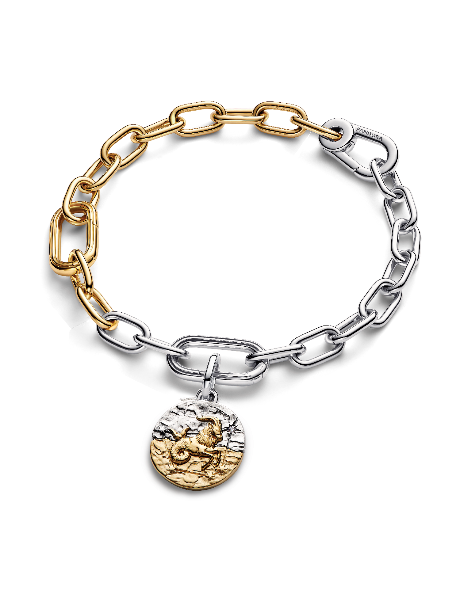 Capricorn Medallion Charm Bracelet Set
