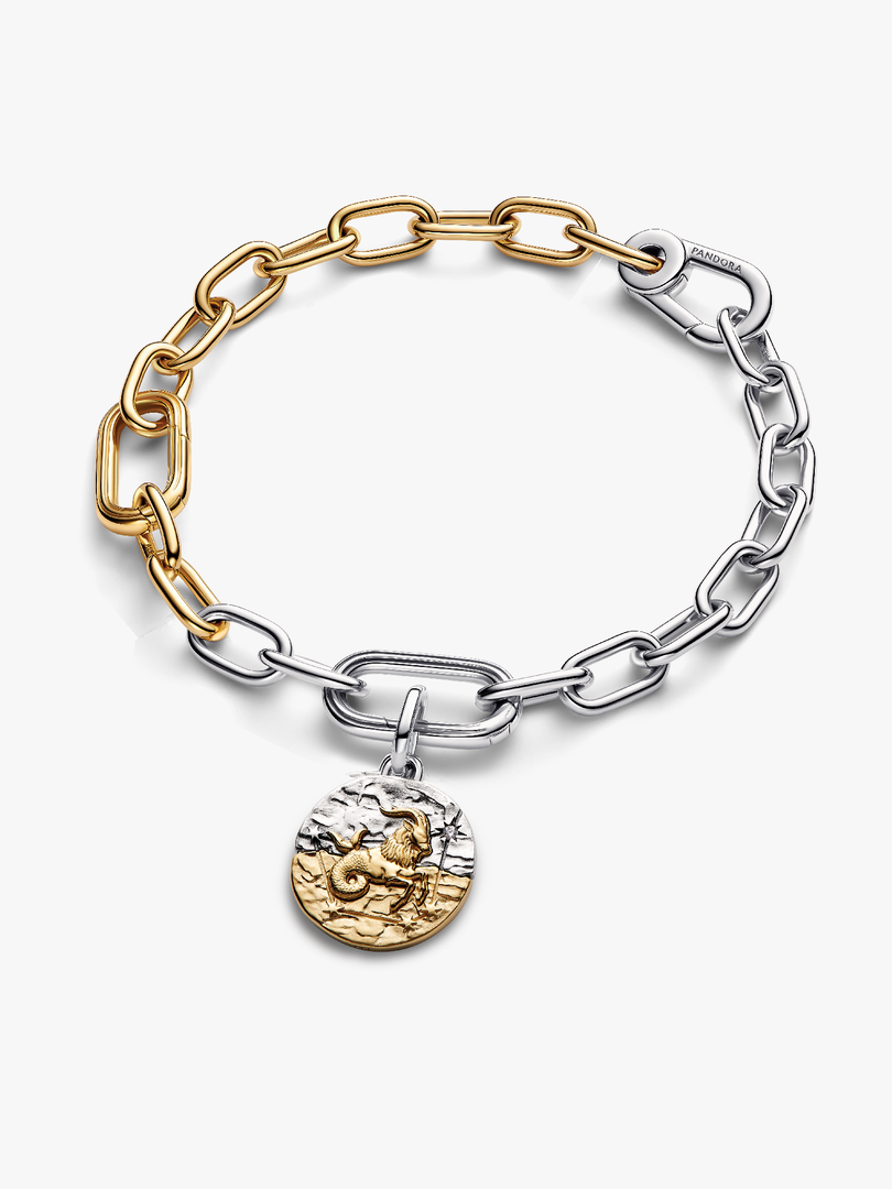 Capricorn Medallion Charm Bracelet Set