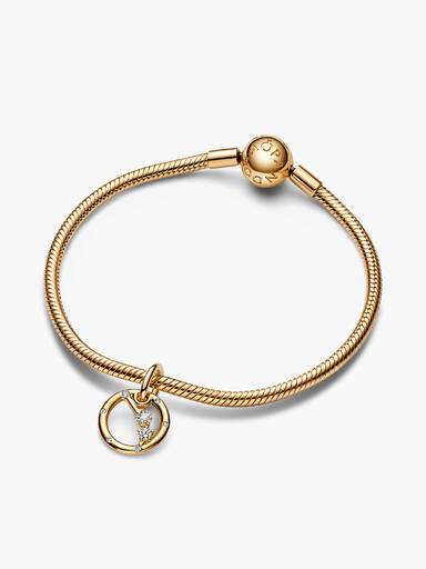 Aries Zodiac Dangle Charm Bracelet Set