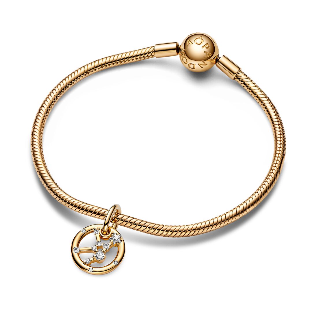 Virgo Zodiac Dangle Charm Bracelet Set