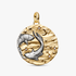 Pisces Zodiac Oversized Medallion Charm Pisces Zodiac Oversized Medallion Charm