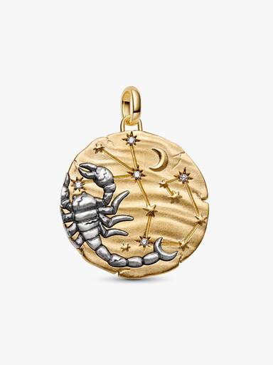 Scorpio Zodiac Oversized Medallion Charm