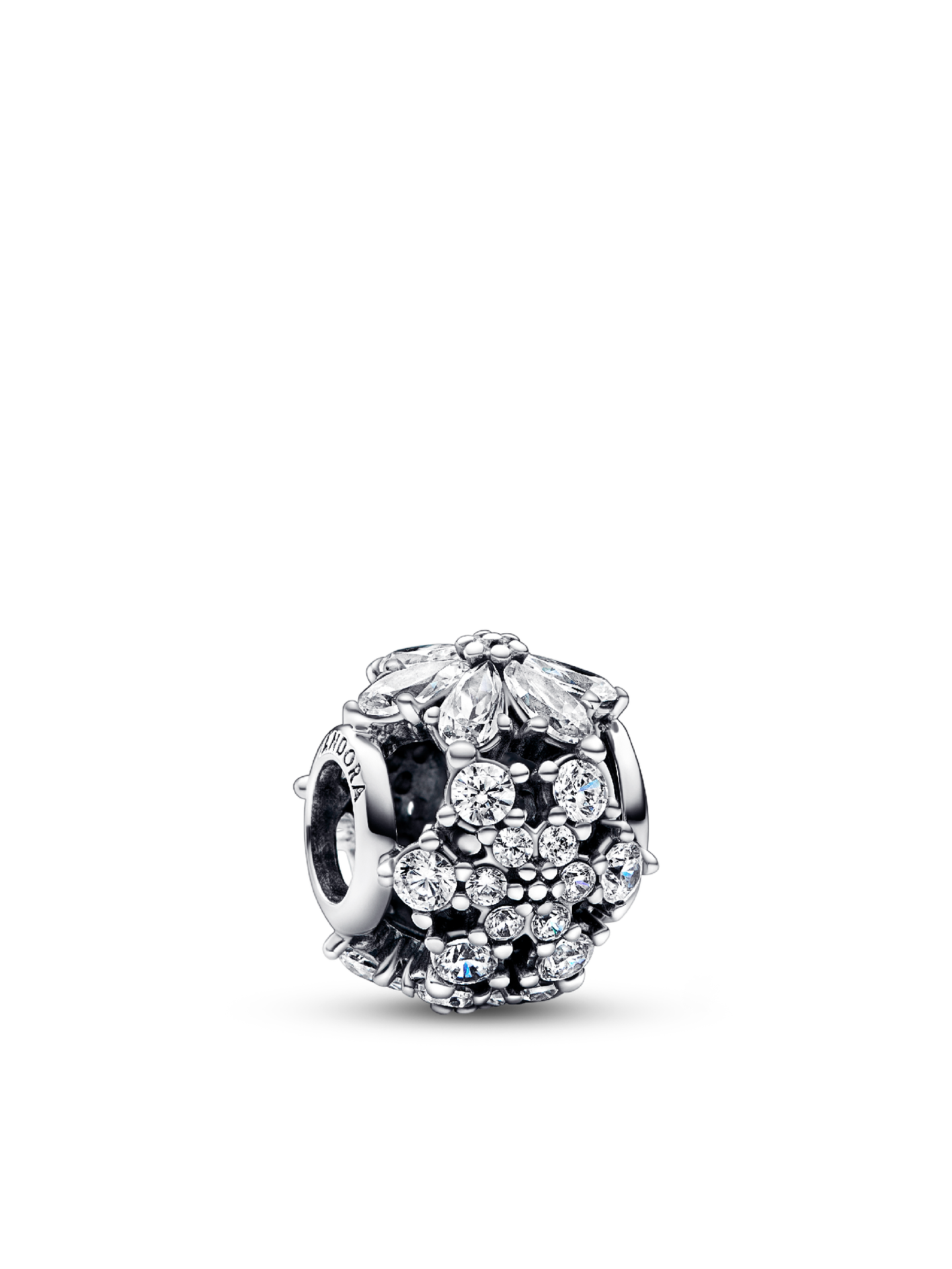 Женский шарм Pandora Sparkling Herbarium Cluster Round Charm, цвет: Серебро — фото 1