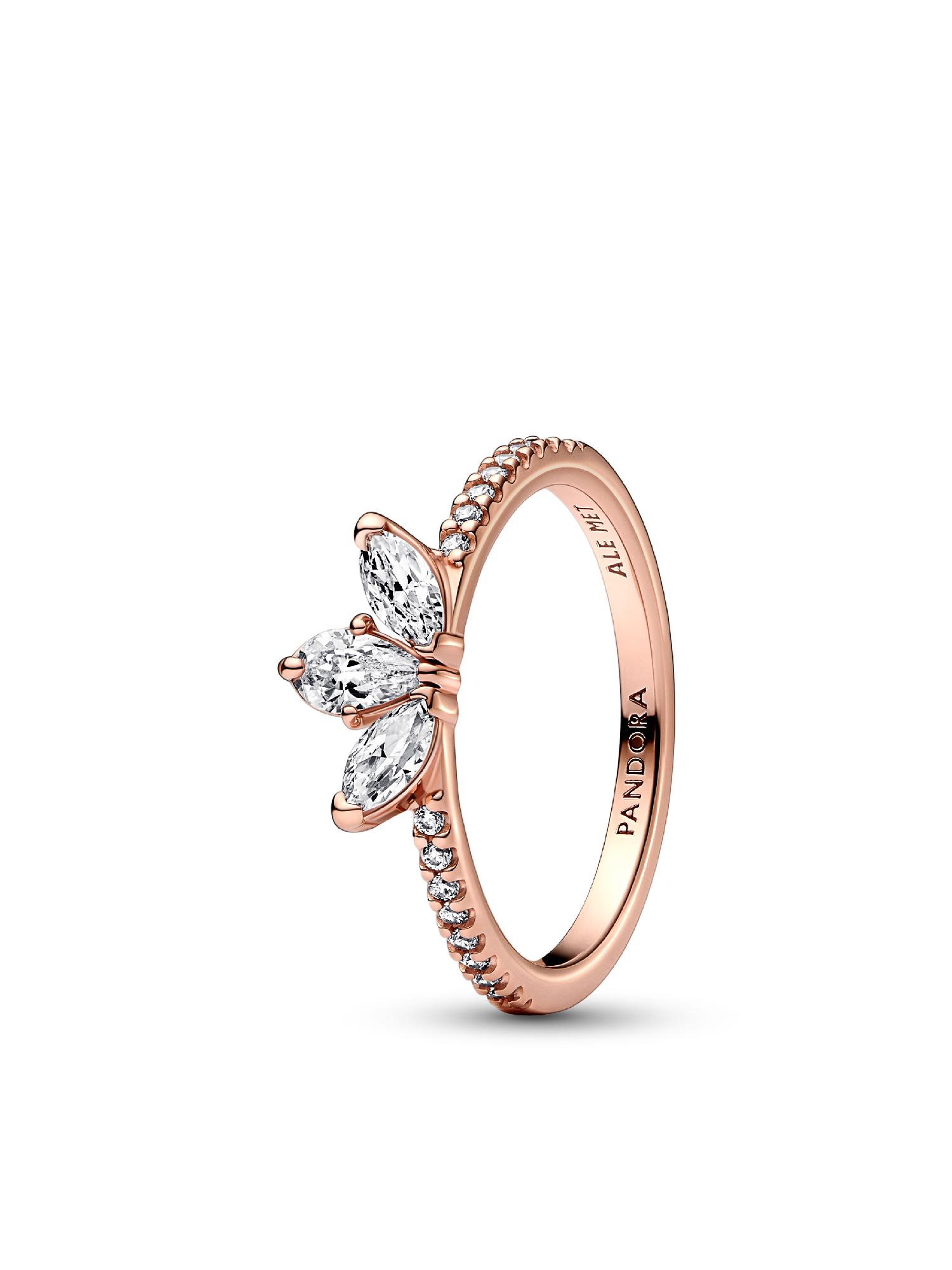 Sparkling Herbarium Cluster and Wish Ring Set