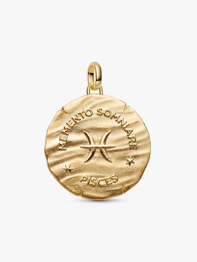 Pisces Zodiac Oversized Medallion Charm