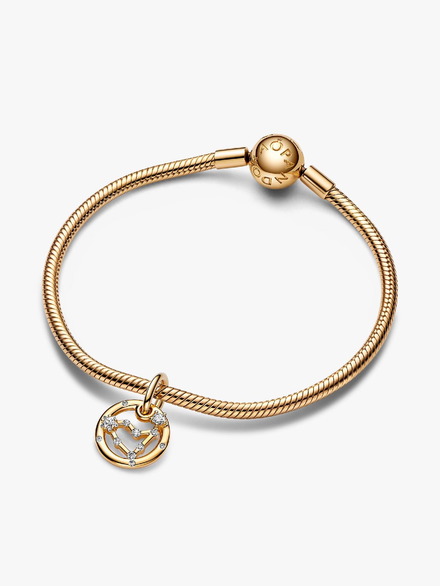 Capricorn Zodiac Dangle Charm Bracelet Set