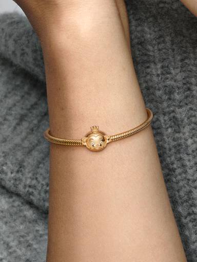 FINAL SALE - Shining Monkey Charm