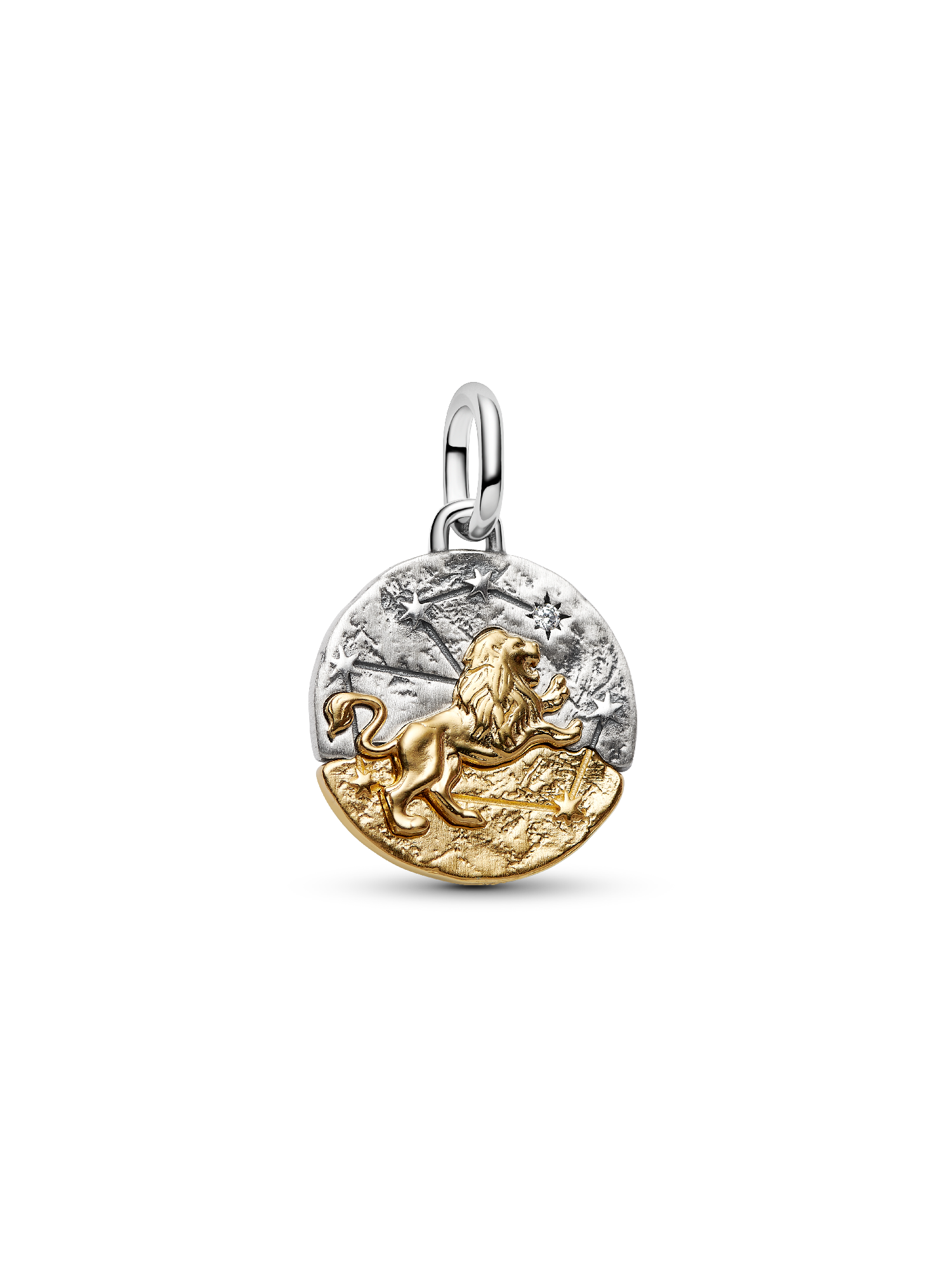 Leo Zodiac Medallion Charm