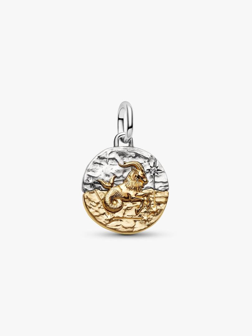 Capricorn Zodiac Medallion Charm