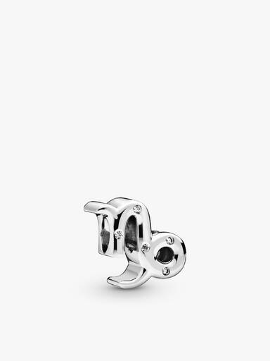 Capricorn Zodiac Charm Bracelet Set