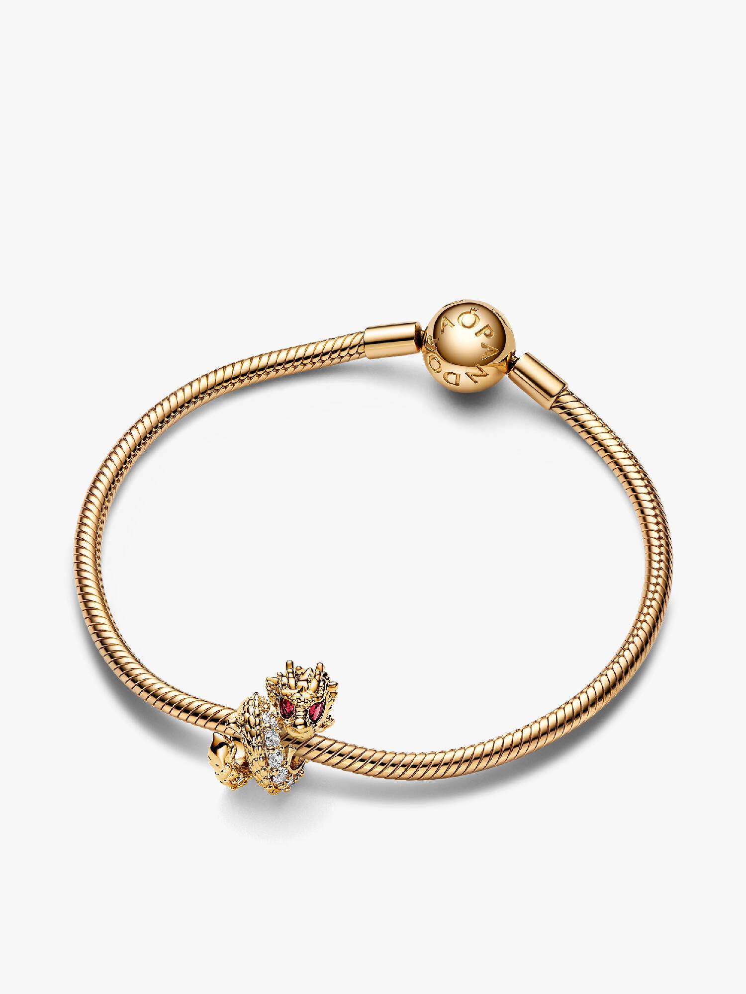 Dragon Charm Bracelet Set