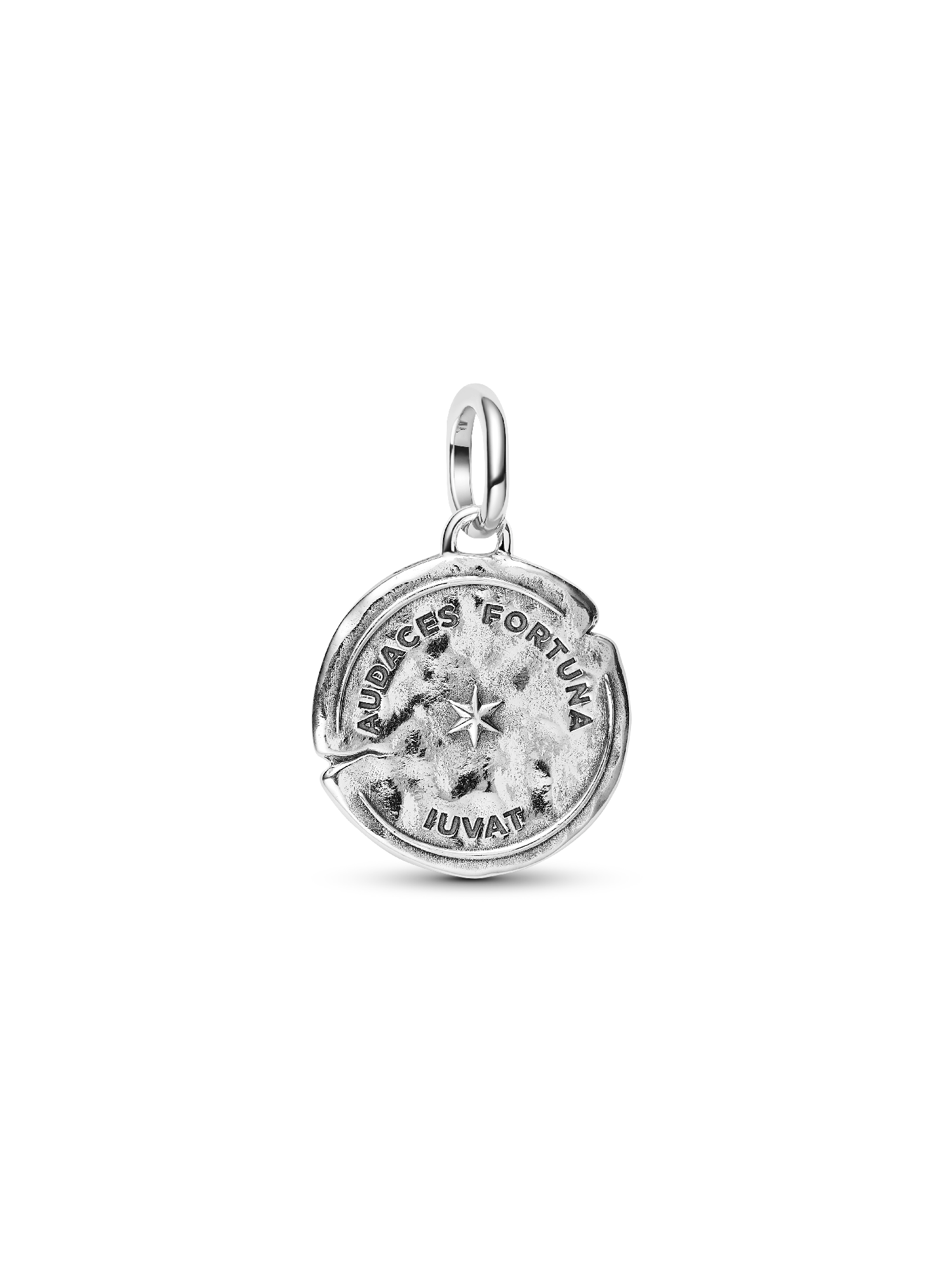 Dolphin Medallion Charm