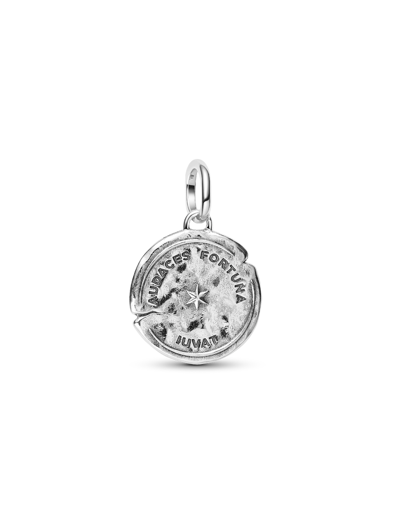 Dolphin Medallion Charm