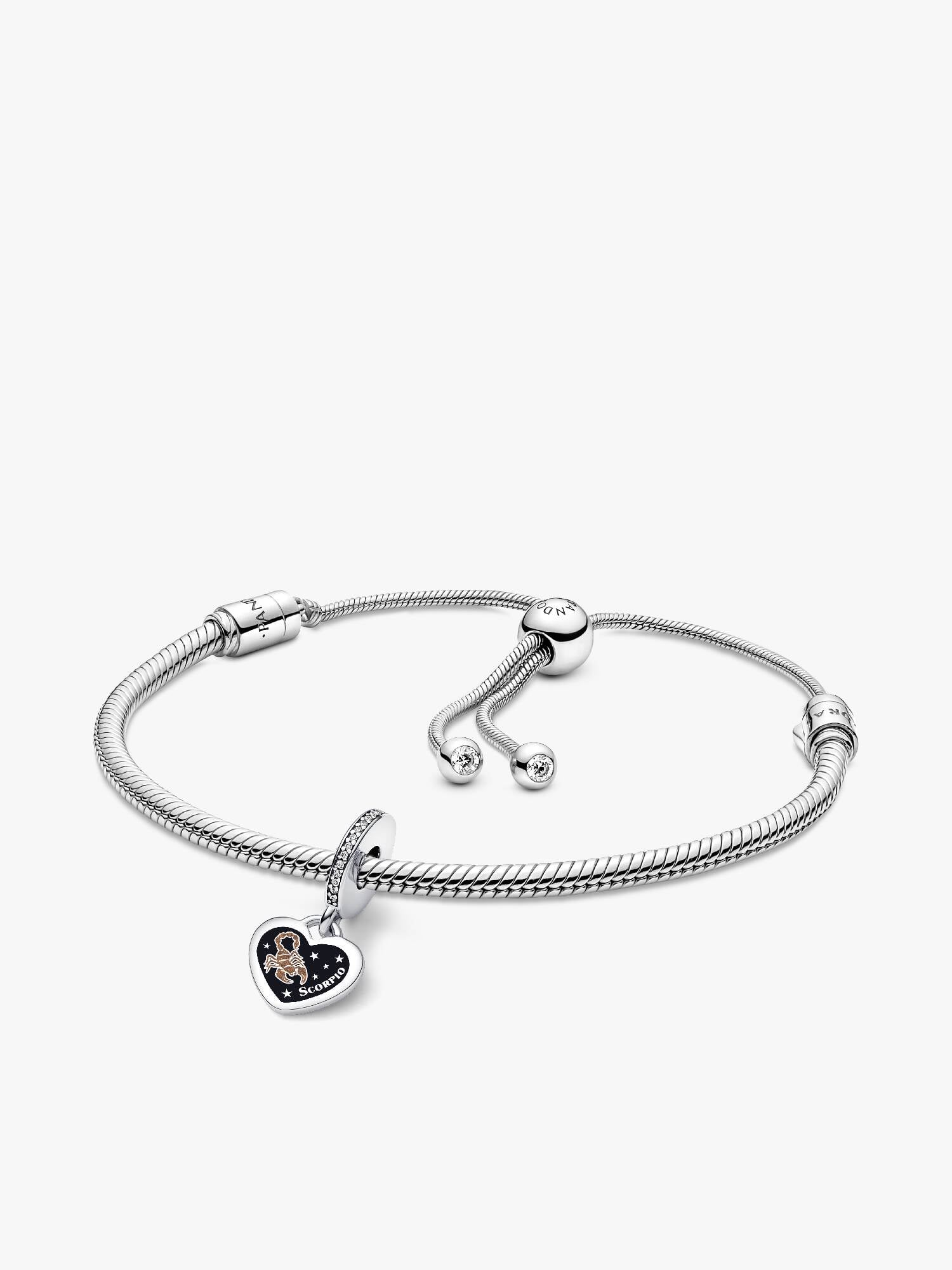 Scorpio Dangle Charm Bracelet Set