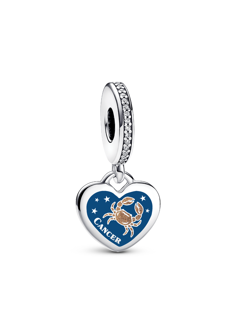 Cancer Dangle Charm Bracelet Set