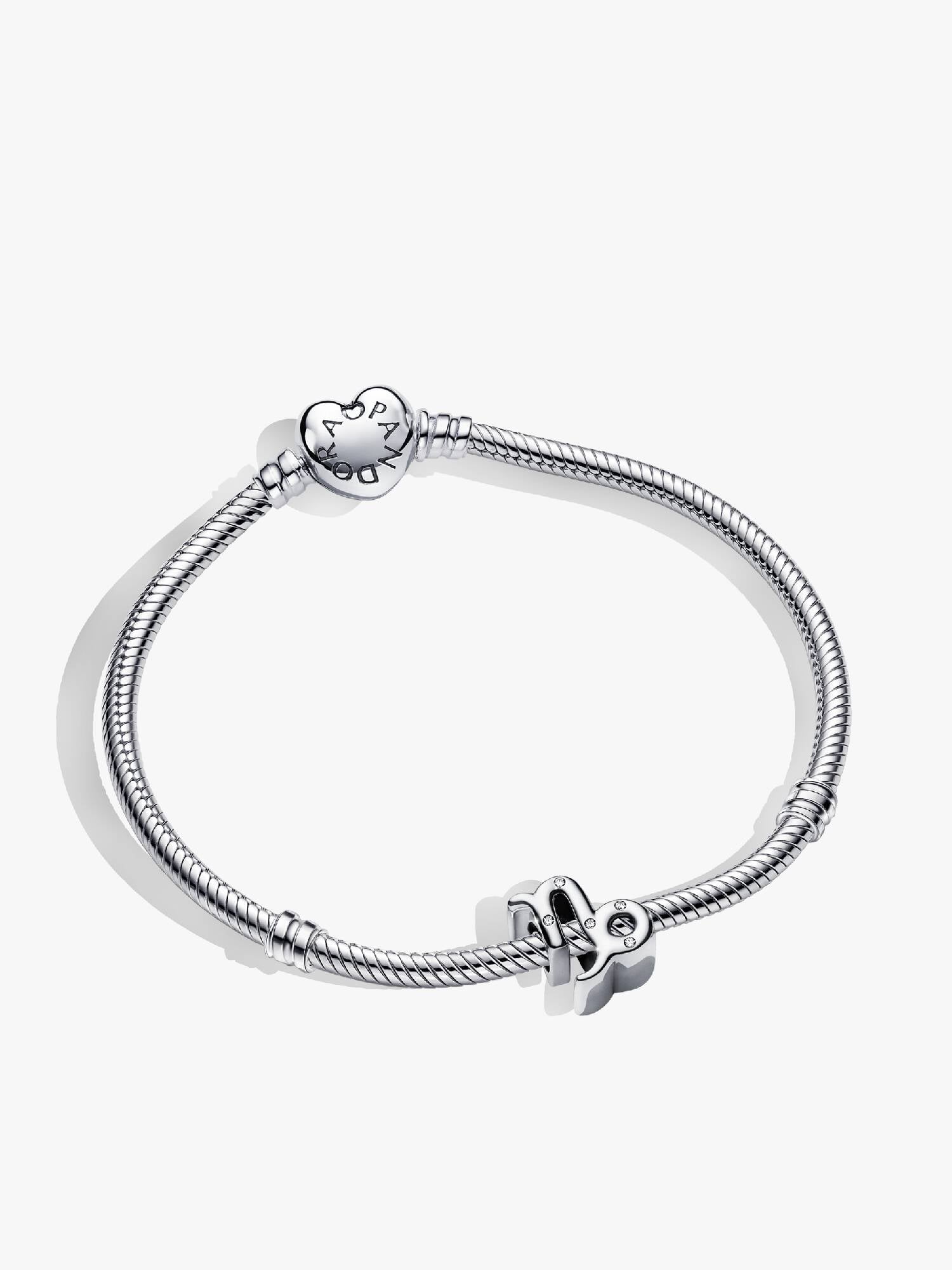 Capricorn Zodiac Charm Bracelet Set