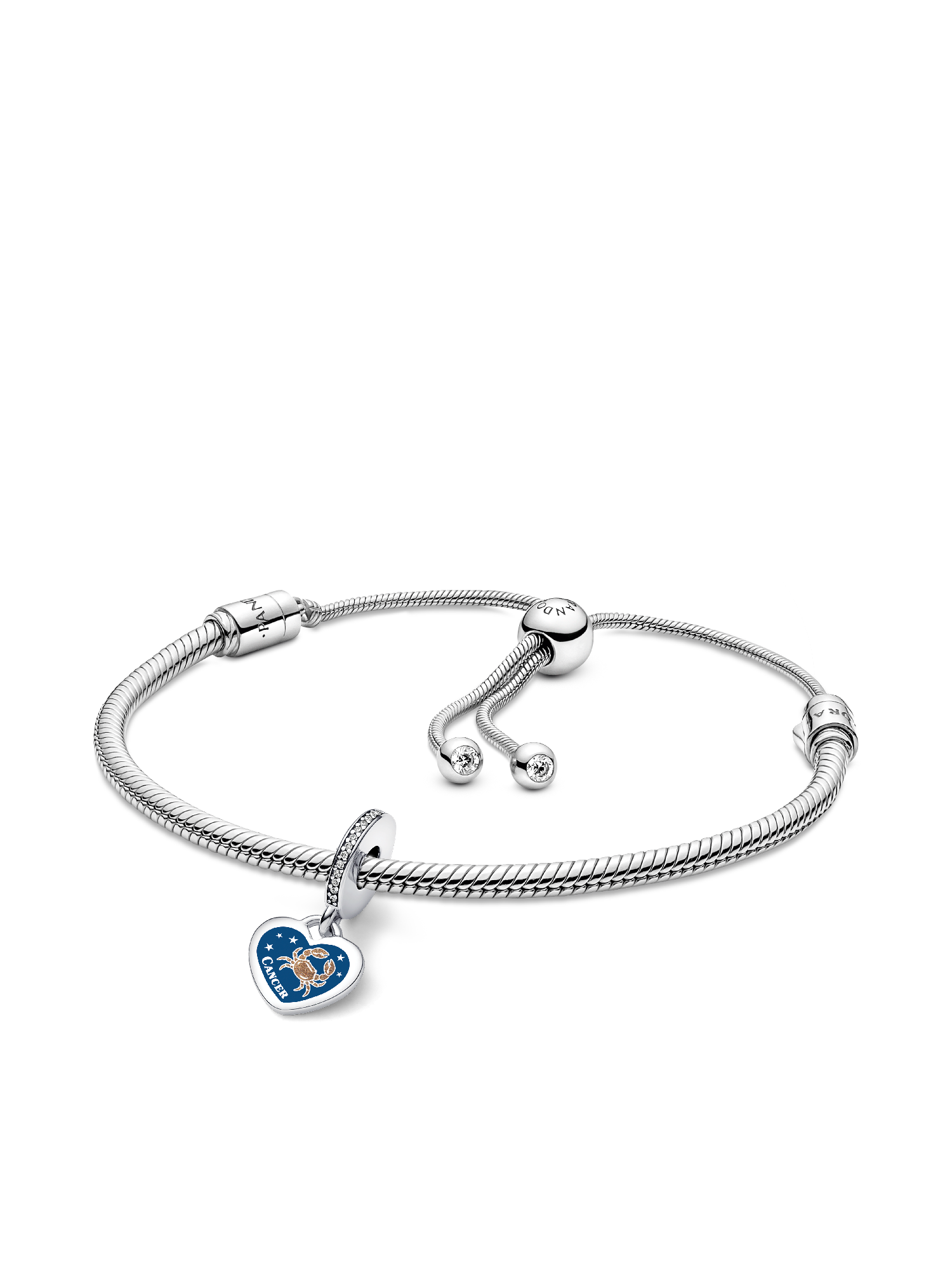 Cancer Dangle Charm Bracelet Set