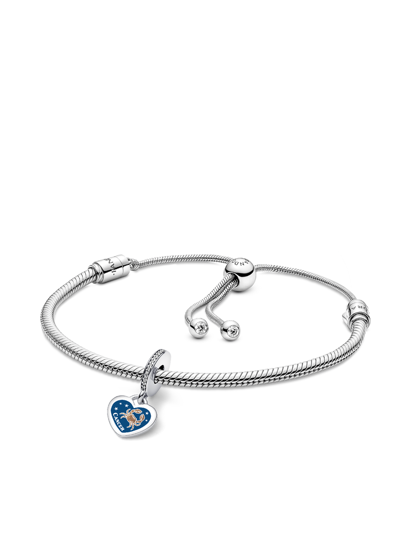 Cancer Dangle Charm Bracelet Set